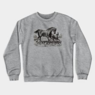 Horse Black & White Illustration - A Mare with a Foal Crewneck Sweatshirt